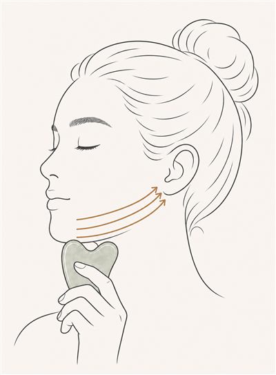 Illustrated jawline stroke, chin to ear